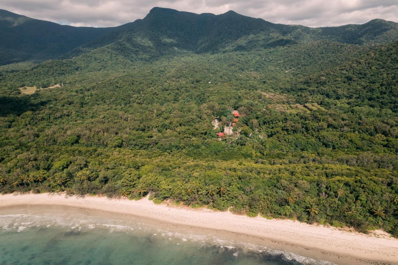 Pk'S Jungle Village Cape Tribulation Buitenkant foto