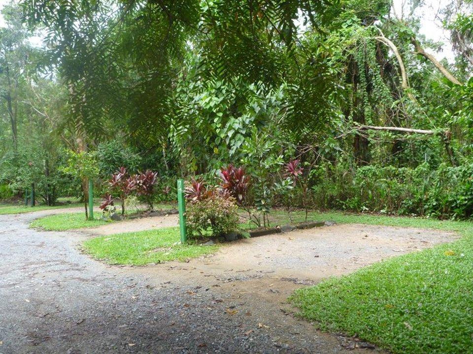 Pk'S Jungle Village Cape Tribulation Buitenkant foto